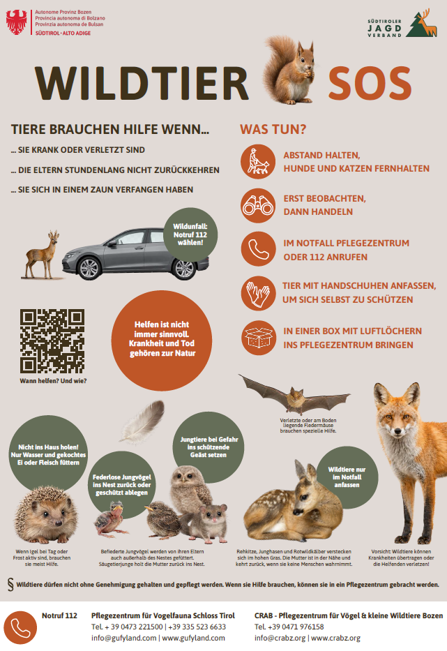 SOS - Wildtiere