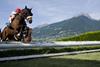 Haflinger horse races