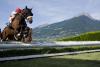 Haflinger Galopprennen