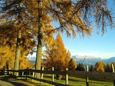 Herbst