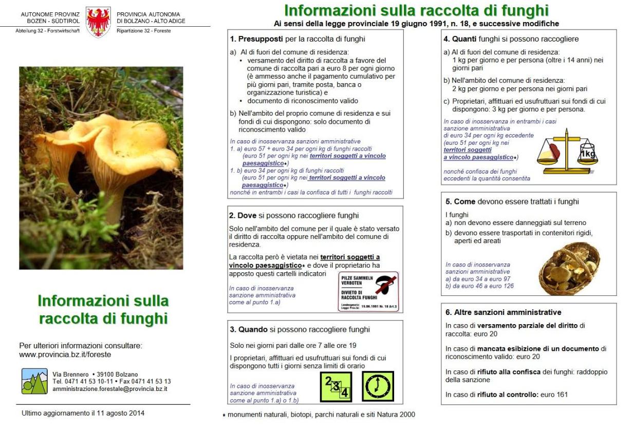 informazioni-raccolta-funghi