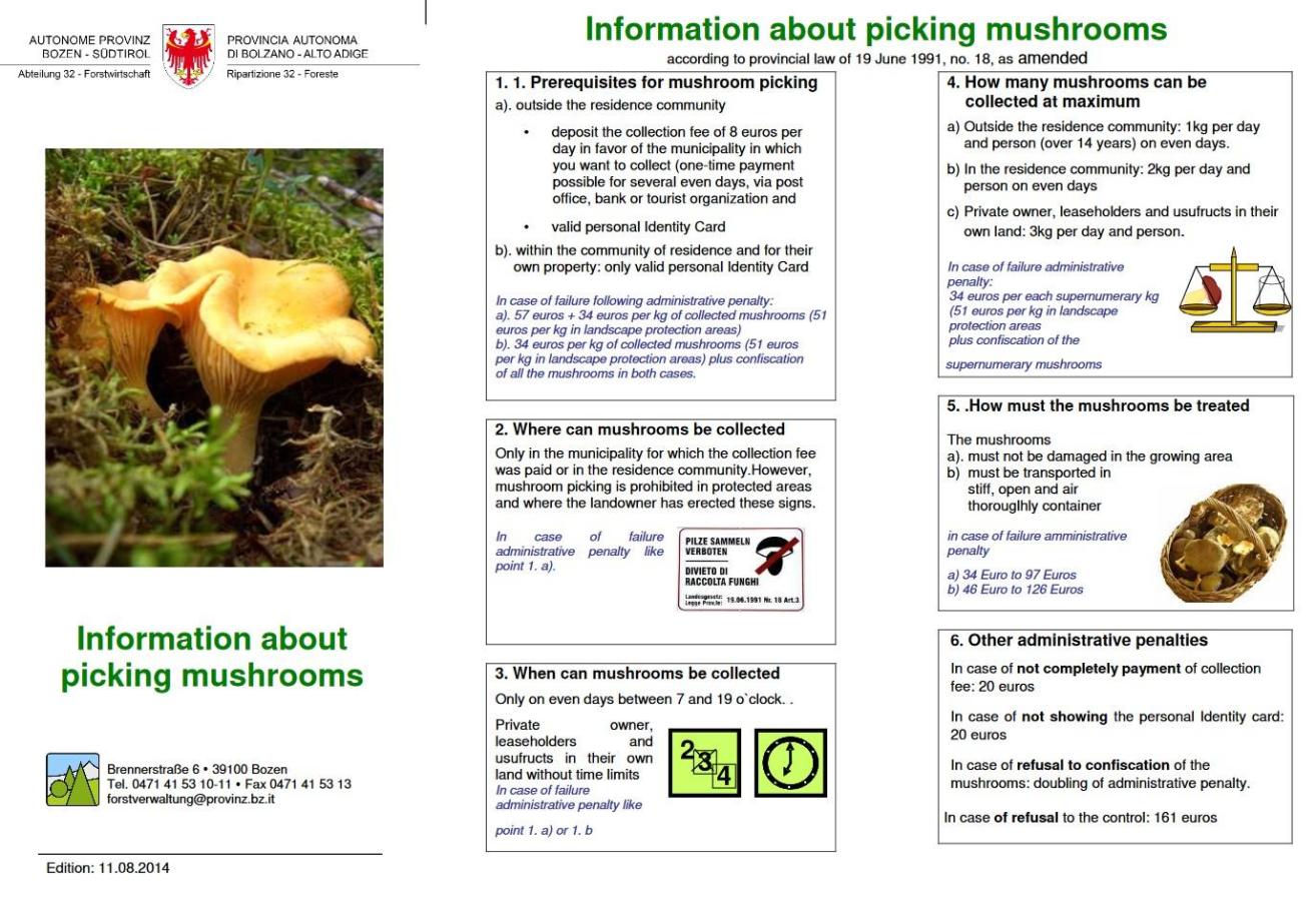 information-about-picking-mushrooms