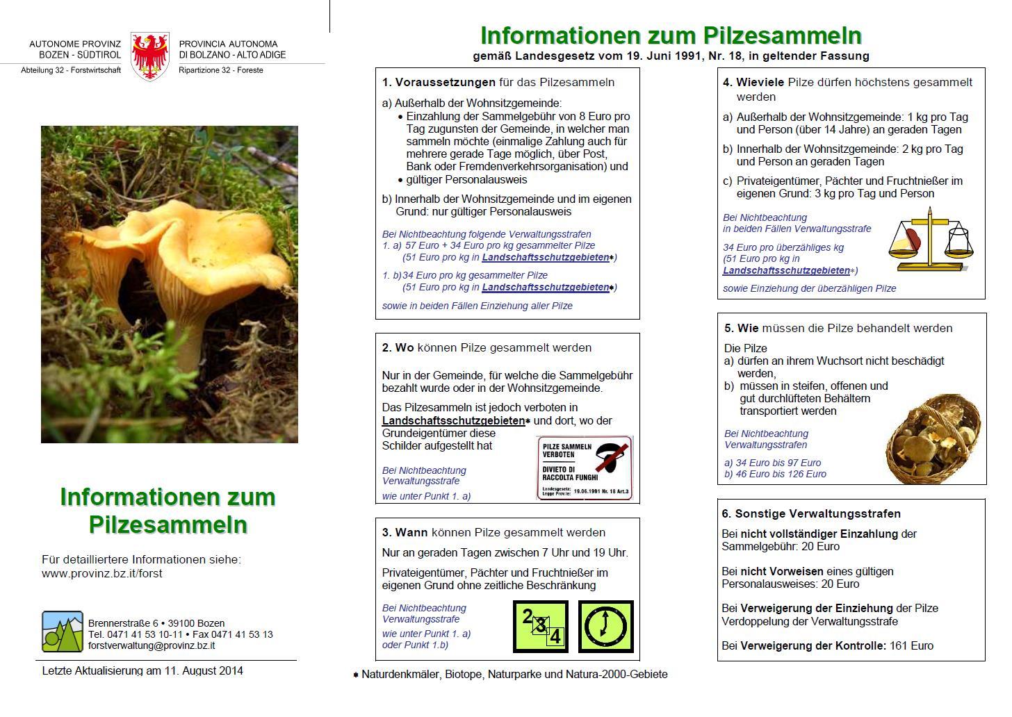 informationen-pilzesammeln