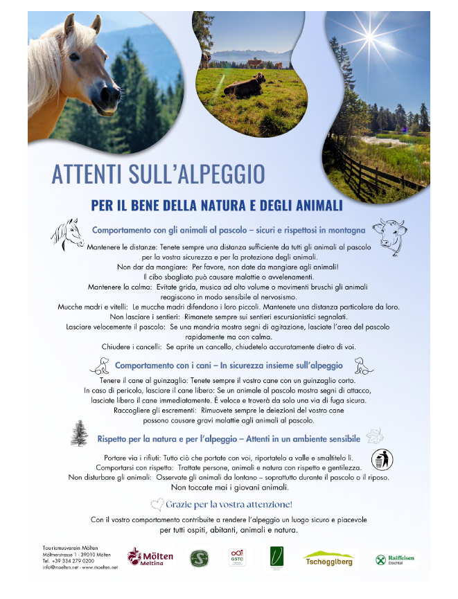 attenti-sull-alpeggio
