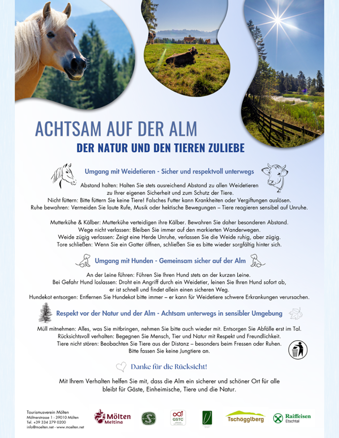achtsam-auf-der-alm