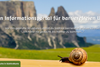 screenshot-2025-06-06-at-14-56-26-suedtirol-fuer-alle-suedtirol-fuer-alle